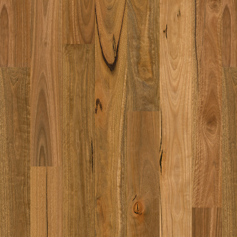Amato - Spotted Gum 1-Strip Matt