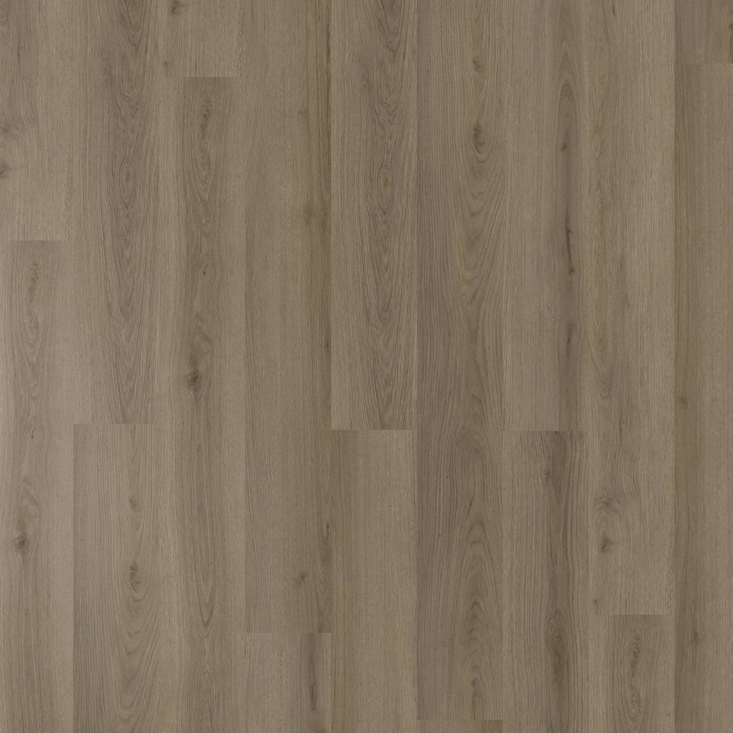 Belle Grande - Northern Oak
