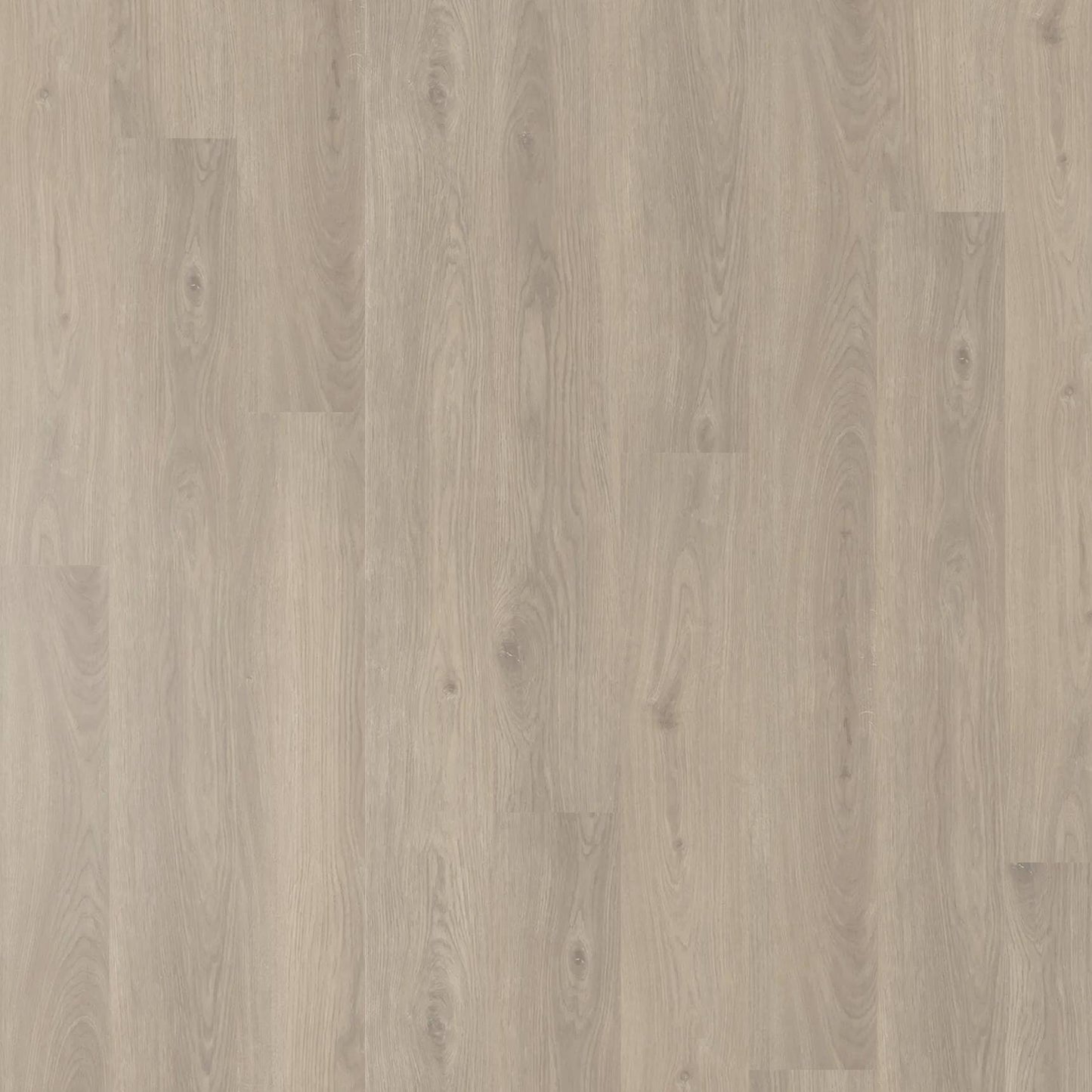 Belle Grande - Otway Oak