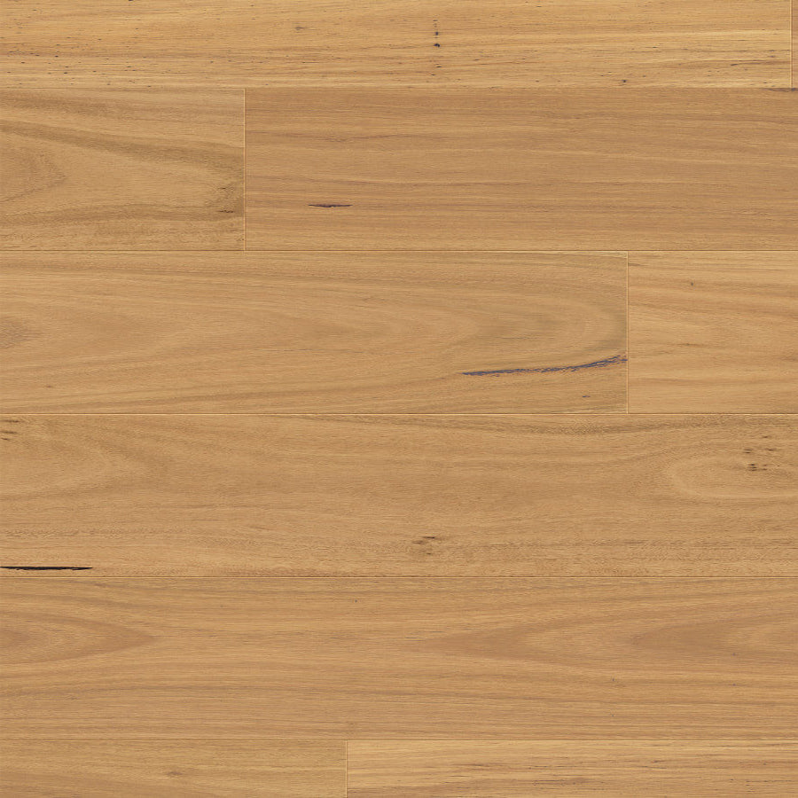 Urbancore Max - Bushland Blackbutt