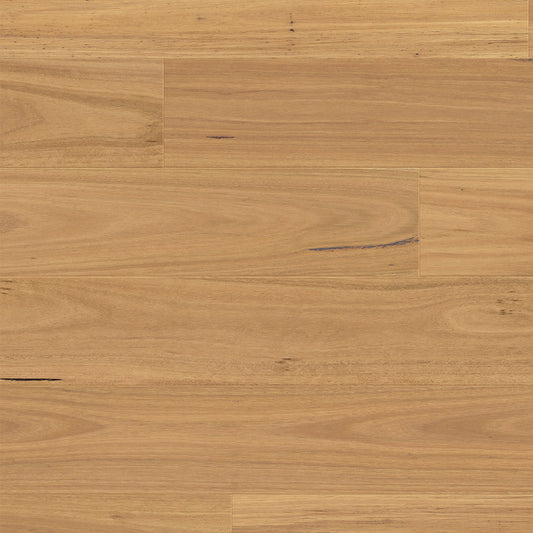 Urbancore Max - Bushland Blackbutt