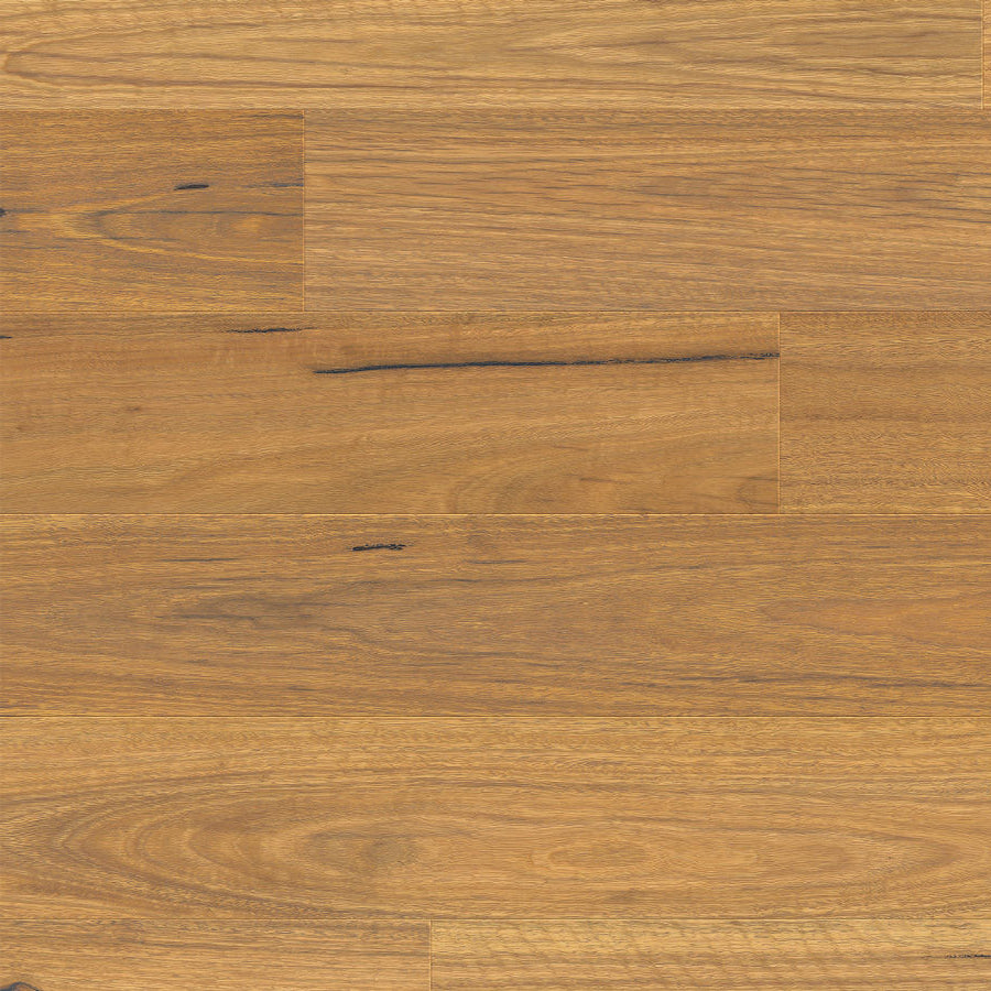 Urbancore Max - Bushland Spotted Gum