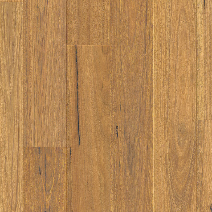 Clix XL - Natural Spotted Gum