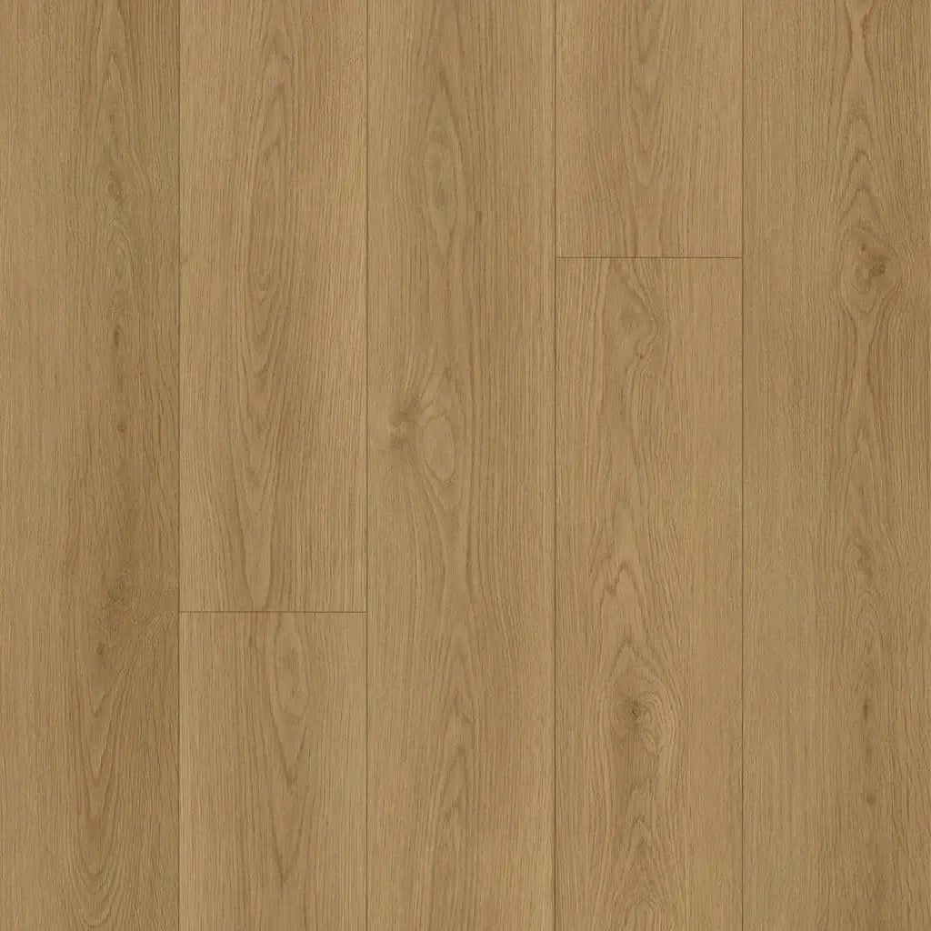 Embelton 8mm Laminate - Grove