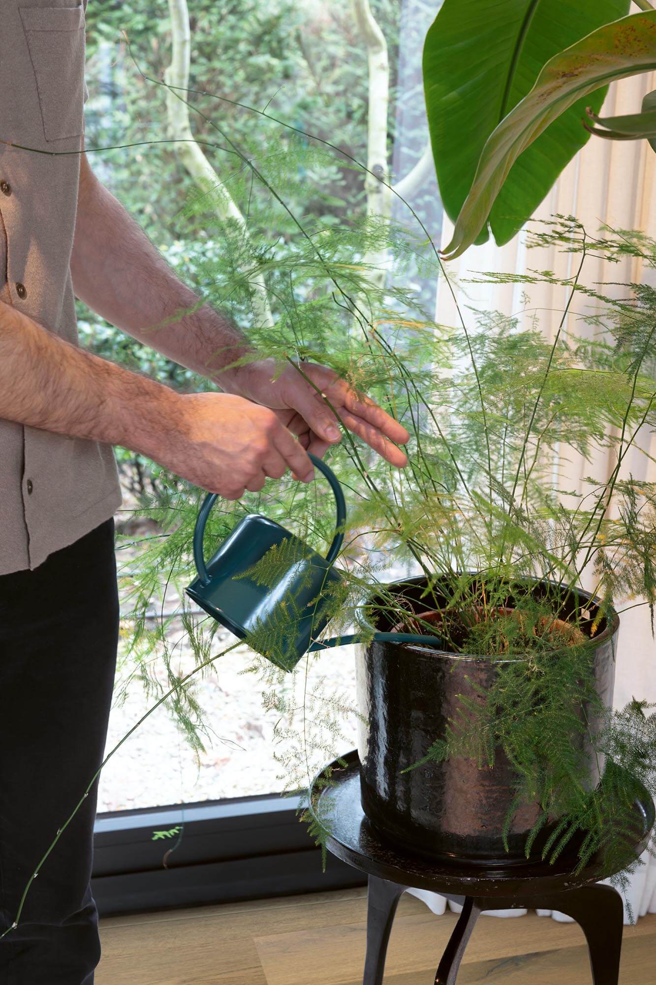 Person watering a plant indoors with a green watering can.