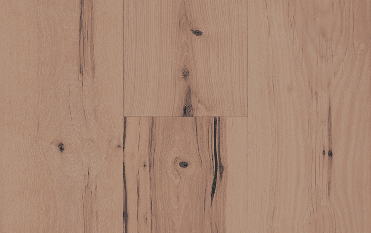 Hickory Impressions Homestead - Maroochi