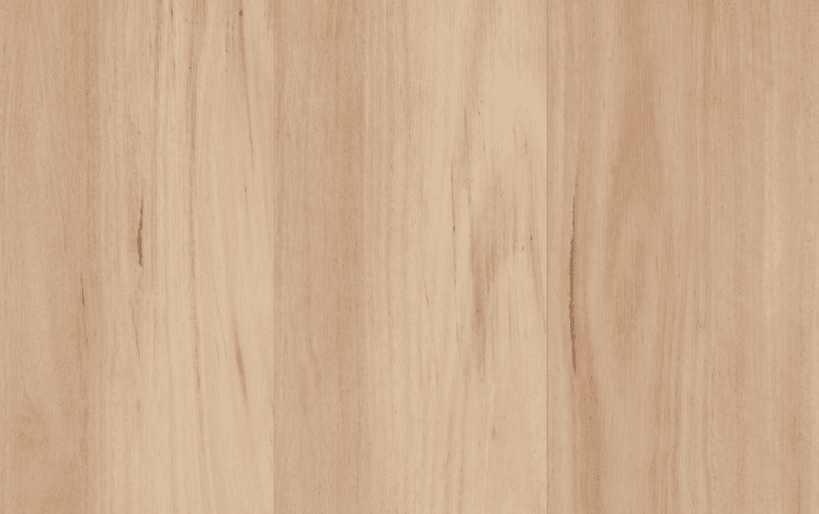 Kodiak Hybrid - Southern Blackbutt