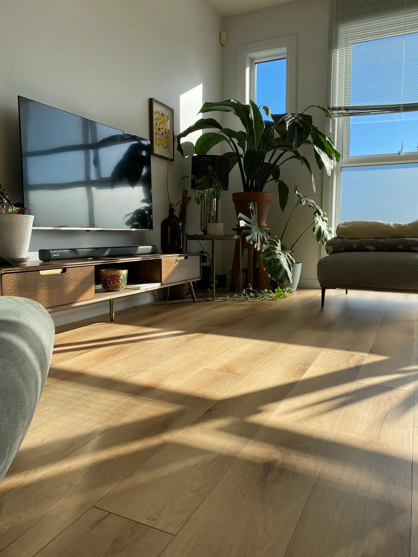 Living room with a TV, plants, and a couch on a wooden floor.