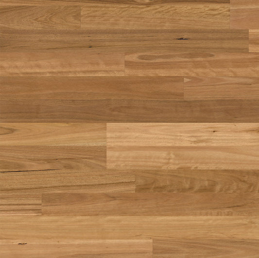 Elegra 2 Strip - Blackbutt Brushed Matt