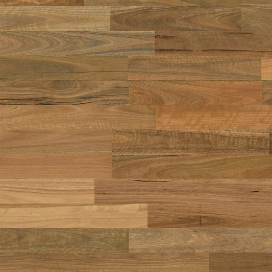 Elegra 2 Strip - Spotted Gum Brushed Matt