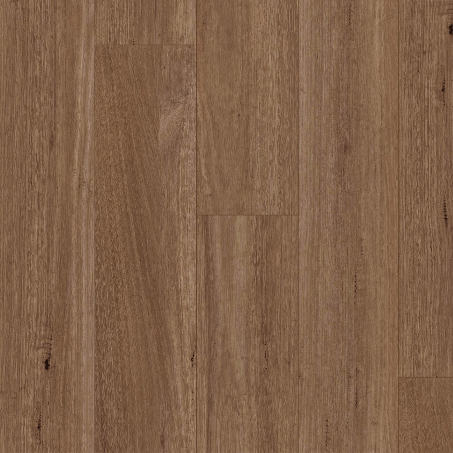 Titan Hybrid XXL - Spotted Gum