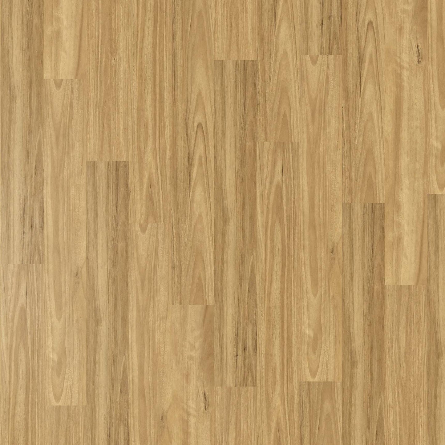 Vista 1500 - Blackbutt