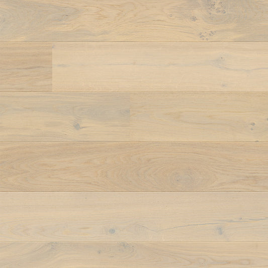 Wildhaven European Oak - Snowfield