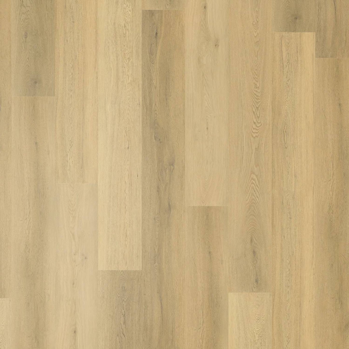 Zenith 1800 Hybrid - Cosmic Sand