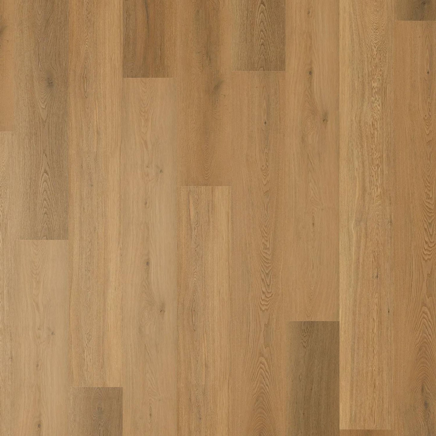 Zenith 1800 Hybrid - Galactic Grove