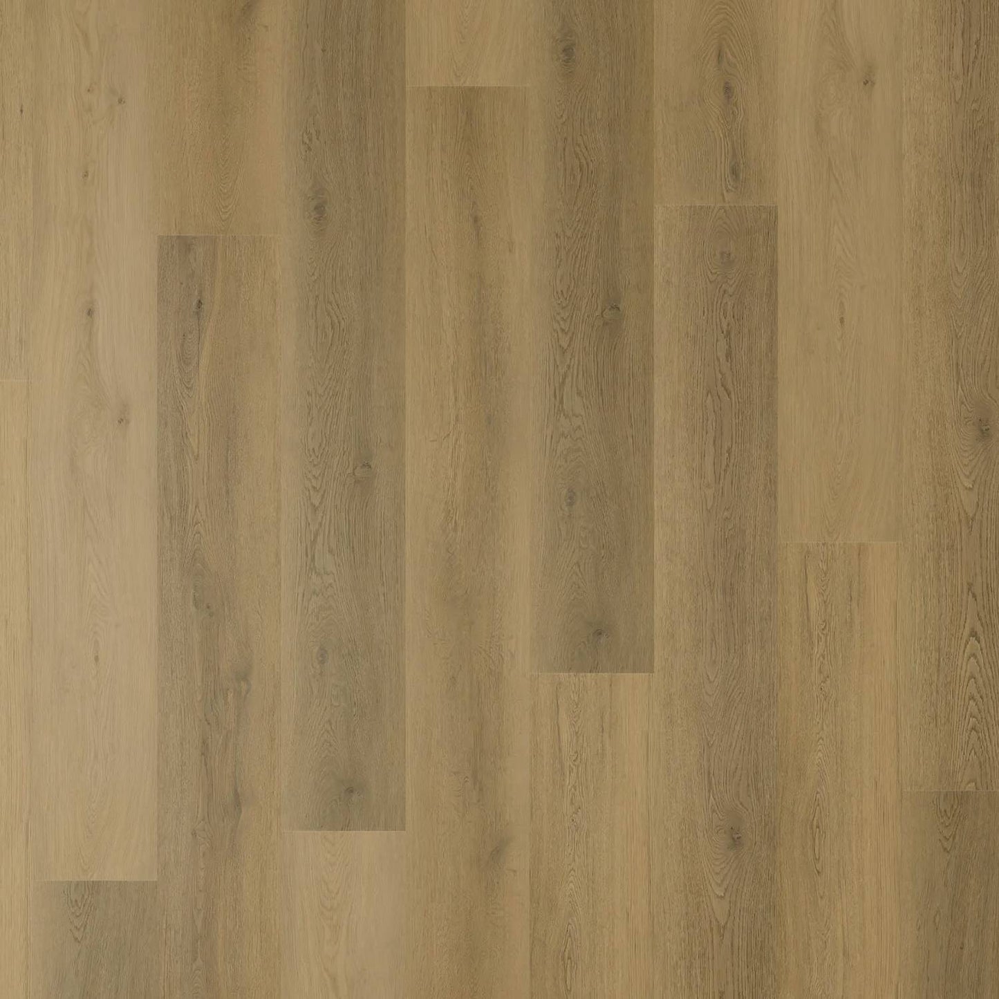 Zenith 1800 Hybrid - Stellar Oak