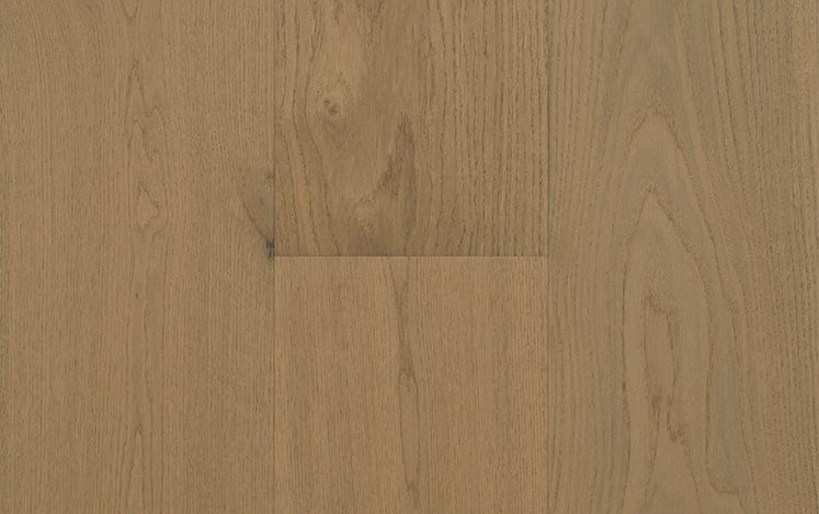 Artistry Insignia European Oak - Begonia