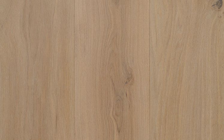 Artistry Insignia Oak - Waratah
