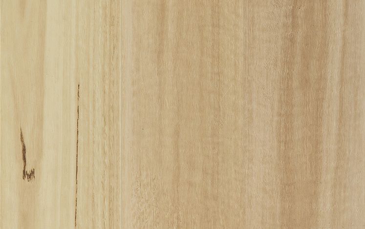 Kodiak Hybrid - Blackbutt