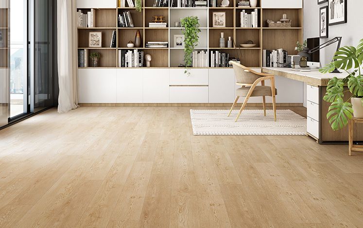 Modern office interior with wooden floor, bookshelves, and desk.