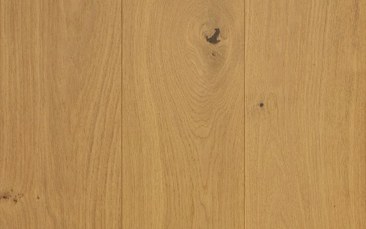 Aurora European Oak - Goulburn