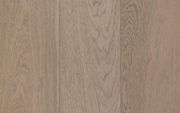 Aurora European Oak - Lachlan