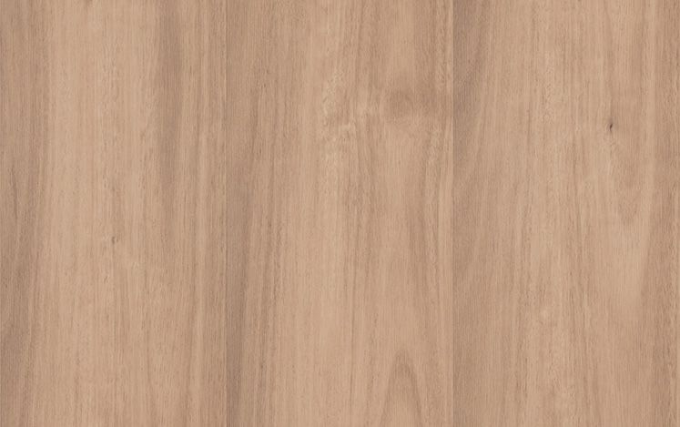 Empress Hybrid - Spice Spotted Gum