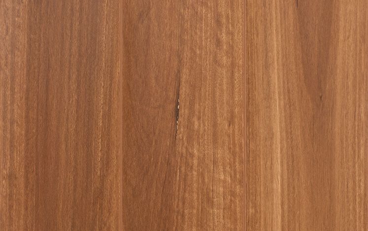 Reflections Gencore + - Northern Rivers Brushbox