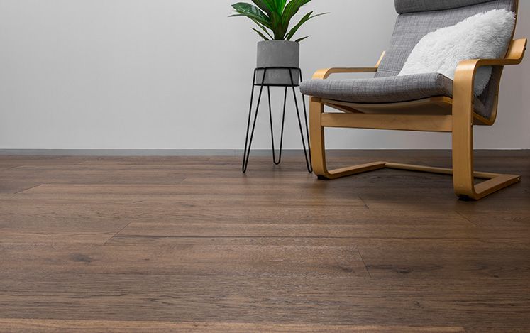 Wooden floor with a chair and plant in a minimalistic room