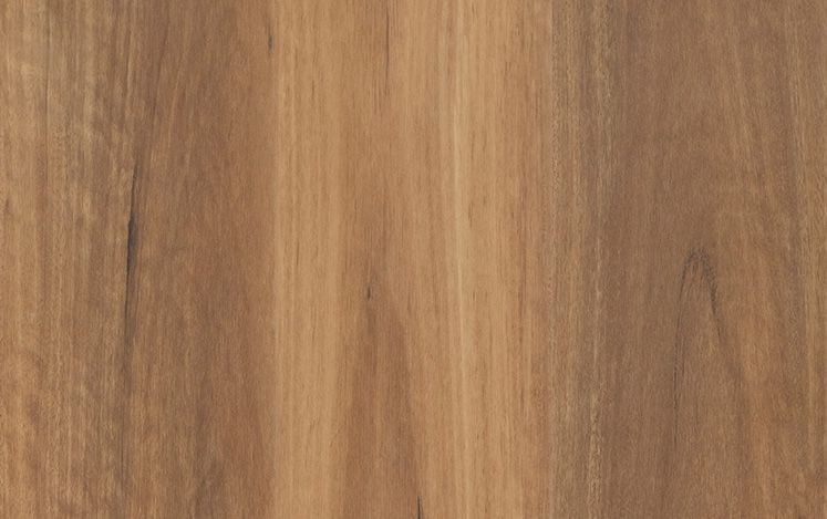 Nouvelle Acoustic - Alpine Spotted Gum