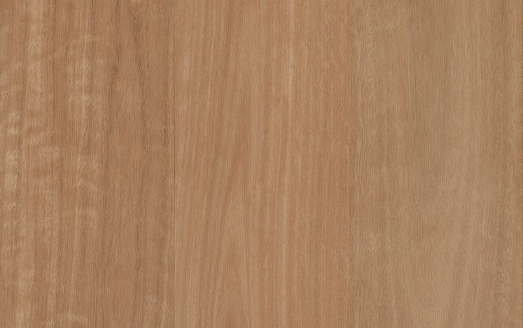 Nouvelle Acoustic - Banksia Blackbutt