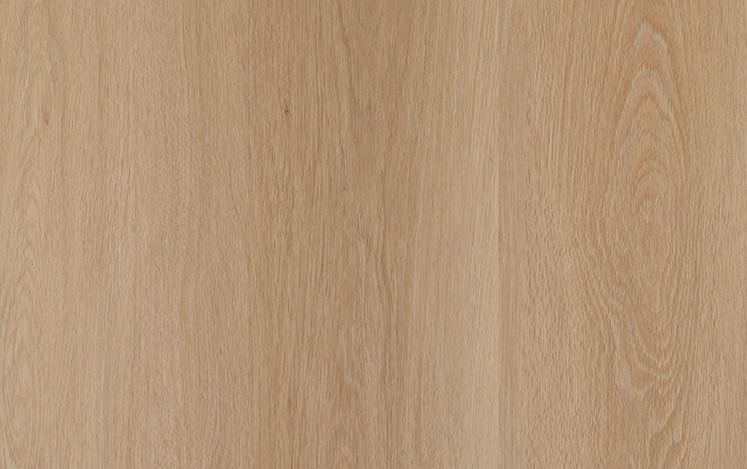 Nouvelle Acoustic - Biscuit