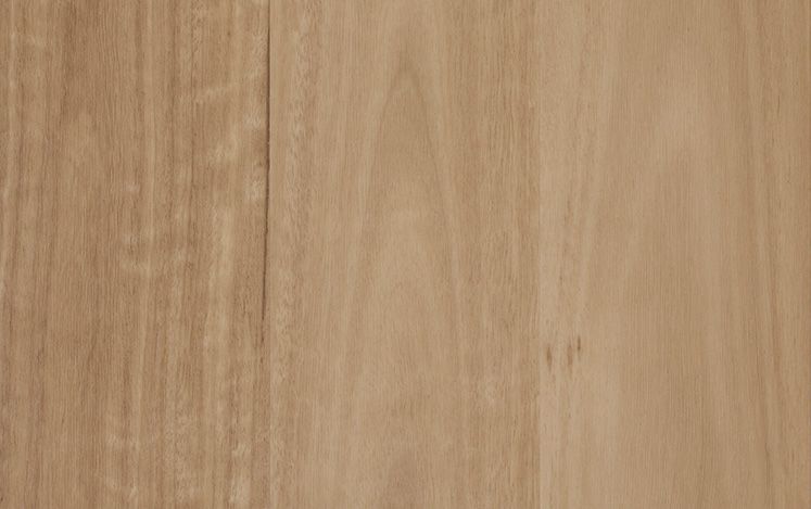 Nouvelle Acoustic - Harbour Blackbutt