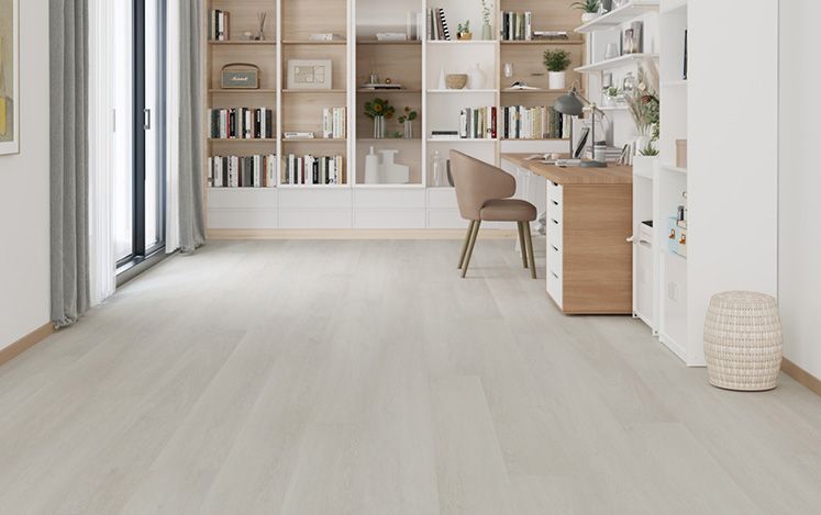 Modern office interior with light wood flooring, bookshelves, and a desk.