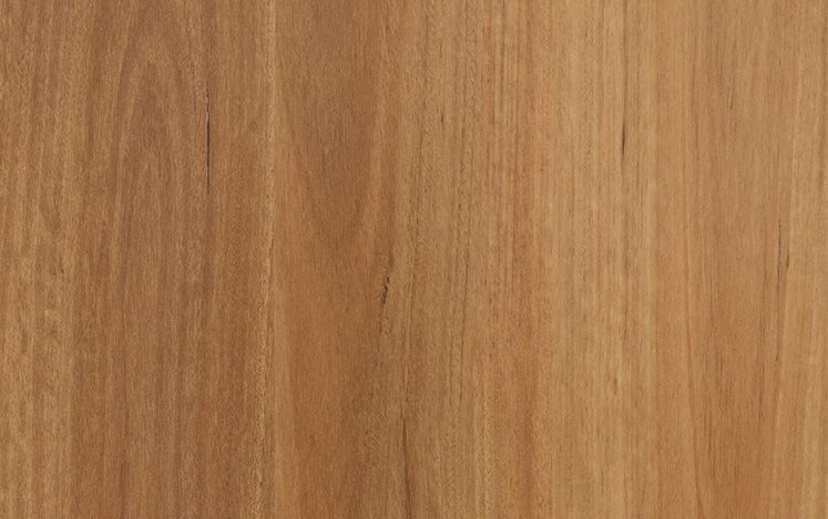 Nouvelle Acoustic - New England Blackbutt