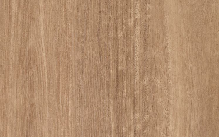 Nouvelle Acoustic - Siera Spotted Gum