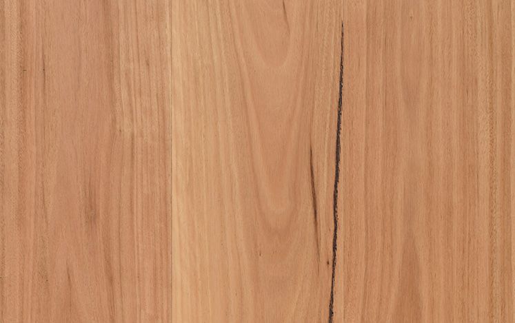 Opulence Australian Native - Coastal Blackbutt Square Edge Wide