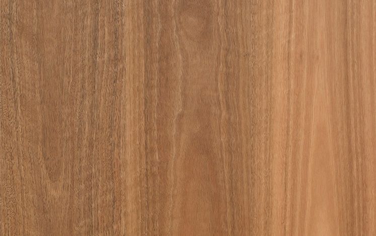 Opulence Australian Native - Spotted Gum Square Edge Wide