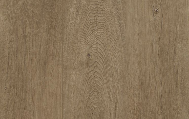 Reflections Evoke - Quicksand