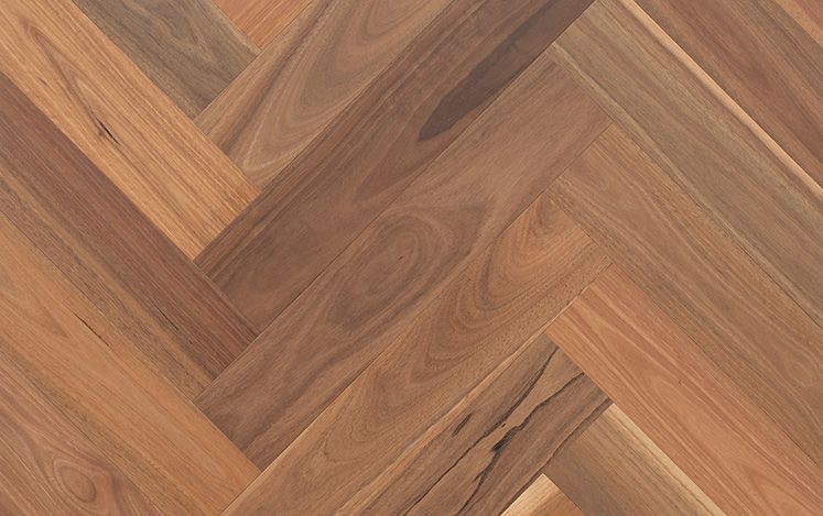 Regency Herringbone - Spotted Gum