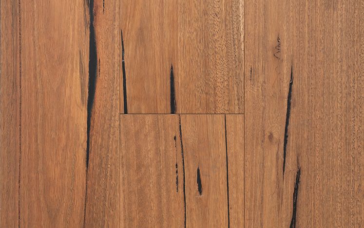 Regency Hinterland - Spotted Gum Rustic