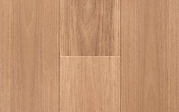 Regency Imperial - Blackbutt Wide