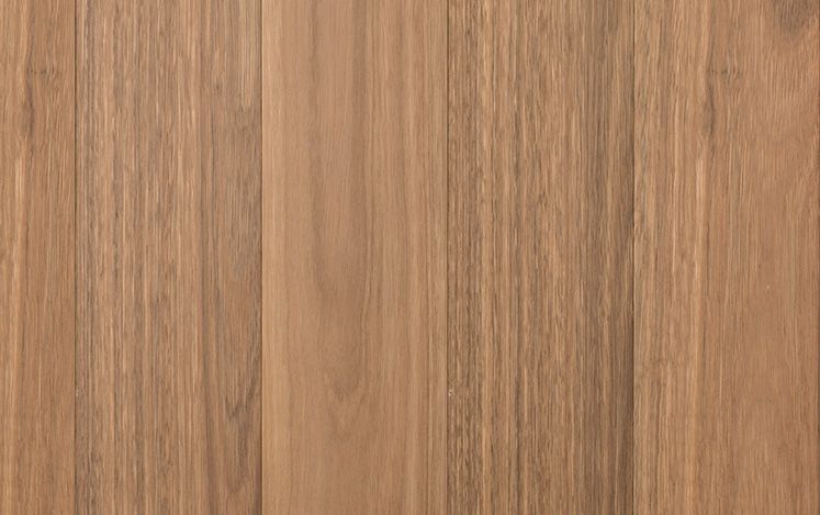 Regency Imperial - Spotted Gum