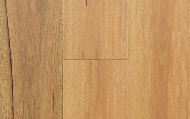 Regency Imperial - Spotted Gum Wide