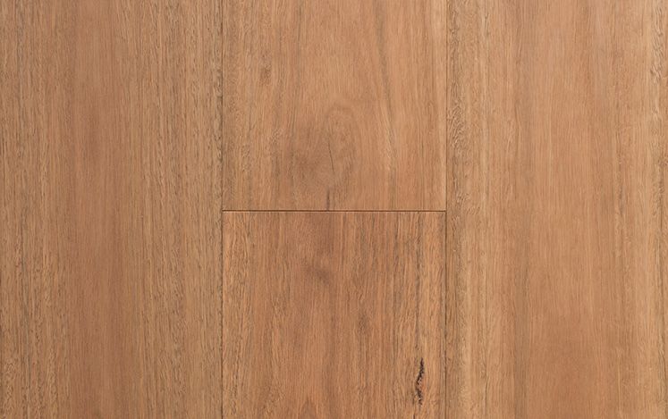 Regency Infinite - Spotted Gum