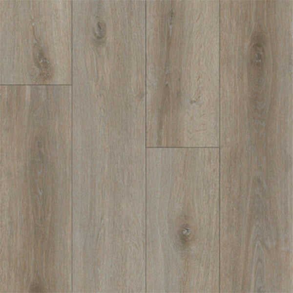 Summerhill Hybrid - Phantom