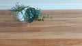 Wooden surface with a plant on a white wall background