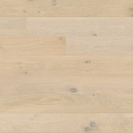 Opus - Snowfield Oak