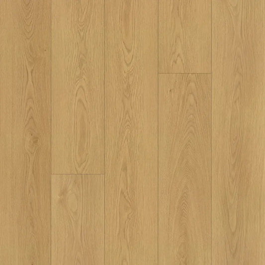 Embelton 8mm Laminate - Arbor