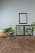 Room interior with framed botanical prints and plants on a wooden floor.